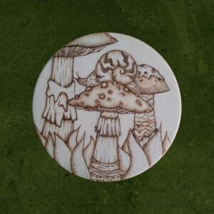 Mushrooms with snail coaster/deco circle